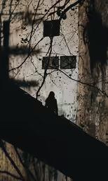 a person standing next to a tree outside on the sidewalk
