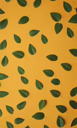 a piece of green paper with leaves flying