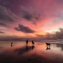 a man and a woman on the beach during sunset with a dog,a beautiful sunset on the beach with two people and their dog