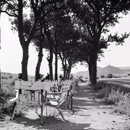 a row of park benches along side a road
