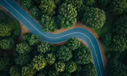 the top view of a car moving along a road between trees