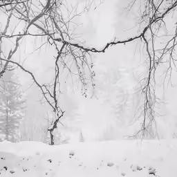 a young boy riding a snowboard through the snow