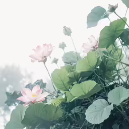 flowers bloom in a plant filled with lots of leaves