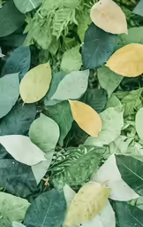 many leaves that are all over a green background