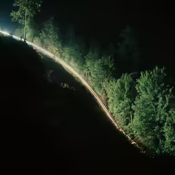 light trail next to trees at night in a forest