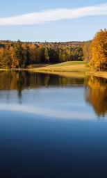 there are trees surrounding the lake and one is orange