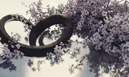 tree with petals reflecting in water at daytime