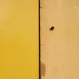 an egg sits on the top of a wooden board