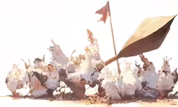a group of white flowers with a lone red flag on top