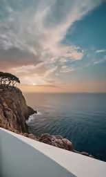 trees stand on the cliffs in front of a body of water