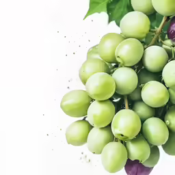 grapes are green and ready to be eaten