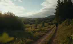 a man walking down a road near some trees
