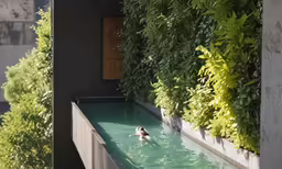 a person swimming in an outside pool with plants on the wall