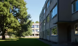 an empty building next to a large tree