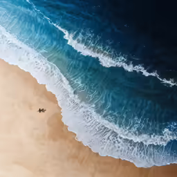 aerial photo of a person flying with a surfboard