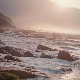 some water and rocks in the foreground on a beach