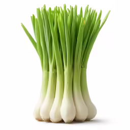 a group of onion stalks that have been cut in half