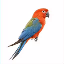 a colorful bird perches on top of a post