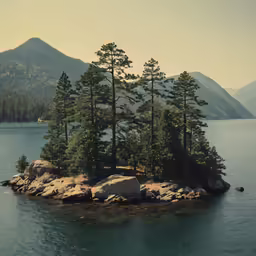 an island with a few trees in the middle of it