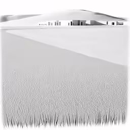 the view from a distance with tall grass and a house