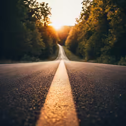 the back end of an empty, deserted highway