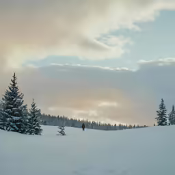 a sky view of some trees with clouds above