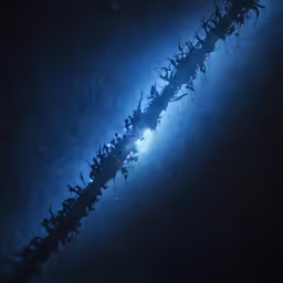 a large light reflecting off the water with a star in it
