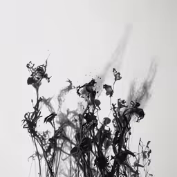 a black and white photo of a vase filled with flowers