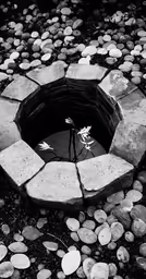 small pond surrounded by rocks in a garden