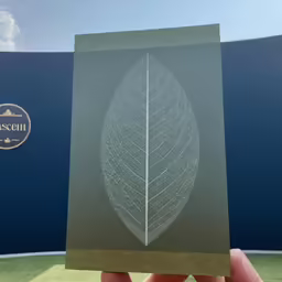 hand holding up a silver leaf photo on blueprint