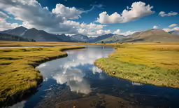 water and land with trees in the background