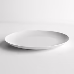 a white plate is sitting on the ground