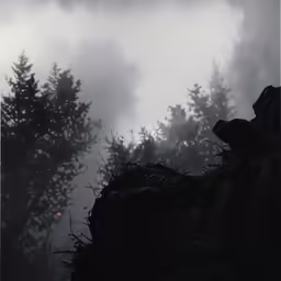 a foggy scene with the sun shining down through the trees