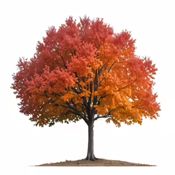 the colorful tree is growing out of the dirt