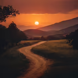a path that has some green grass in it