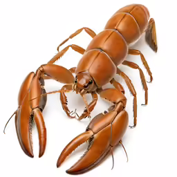 a brown and tan lobster laying down
