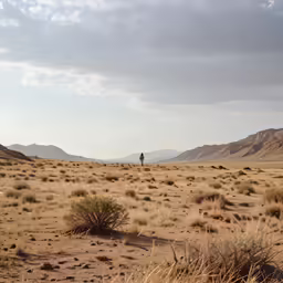 a lone horse standing in the desert near some hills