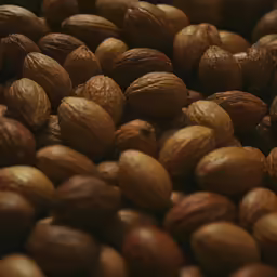 nuts are shown in close up view for use