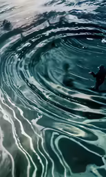 a person in black swimming on a body of water