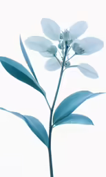 a close up of a plant with white flowers