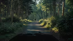 a person riding on a bicycle down a forest road