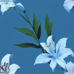 a group of flowers on a clear, sunny day