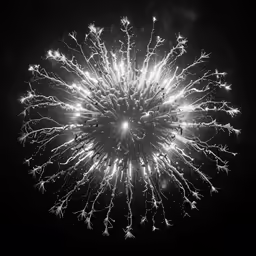 an image of fireworks in the night sky