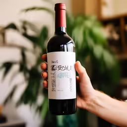 someone holding up a wine bottle and a plant