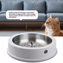 an orange cat is looking at its reflection in a water fountain