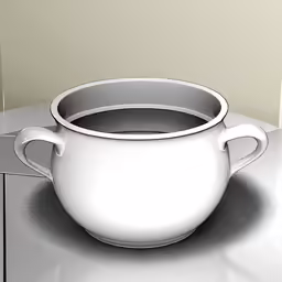 a bowl is shown on the table