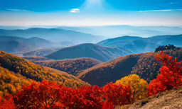 colorful trees and mountains during the day in the fall