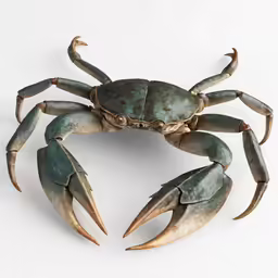 a metal crab sculpture sitting on top of a white wall