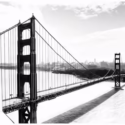 the golden gate bridge is very tall in black and white