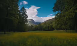 the trees and the grass are covered in some clouds
